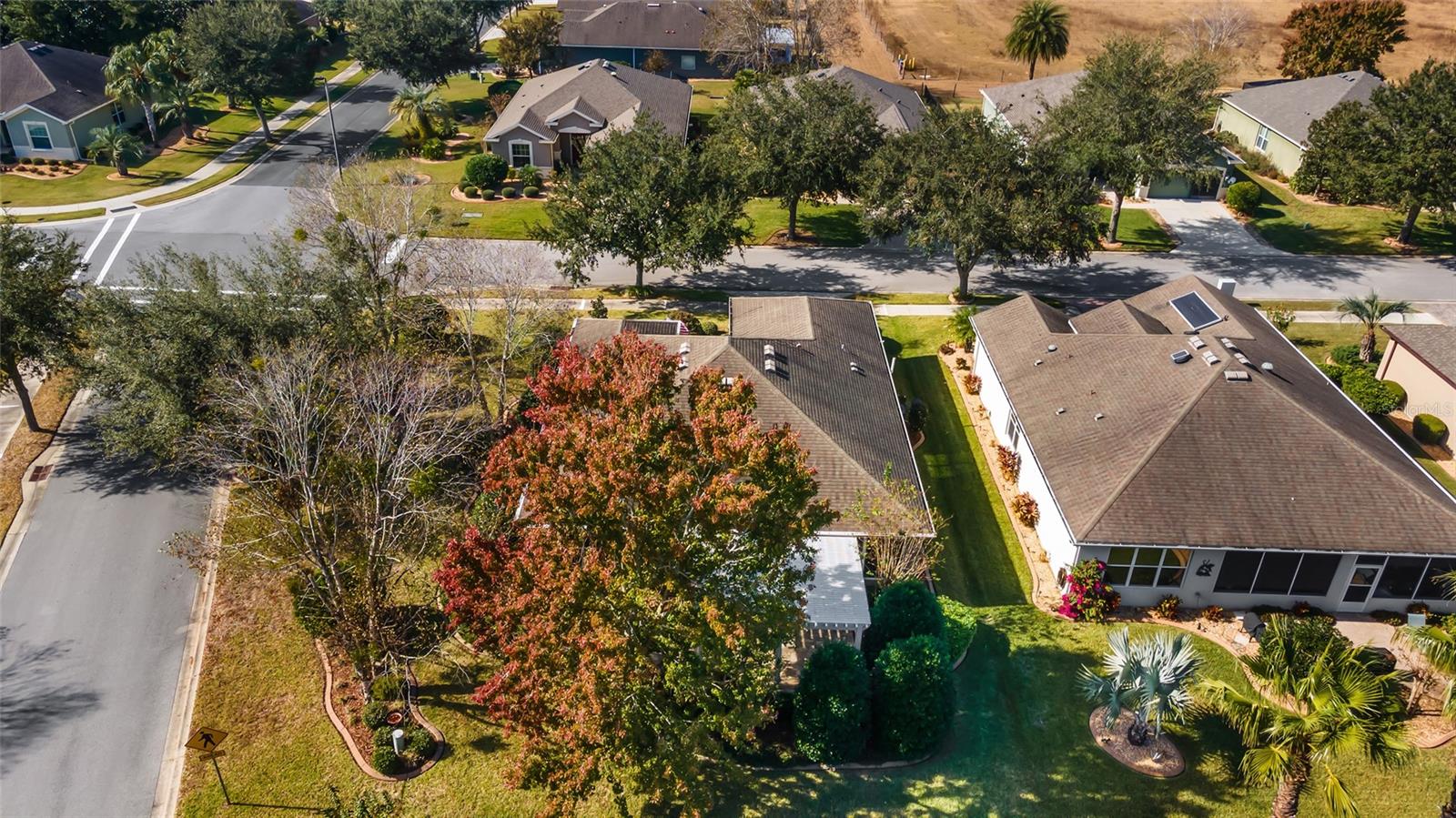 7305 SW 99TH CIR, OCALA, FL, 34481