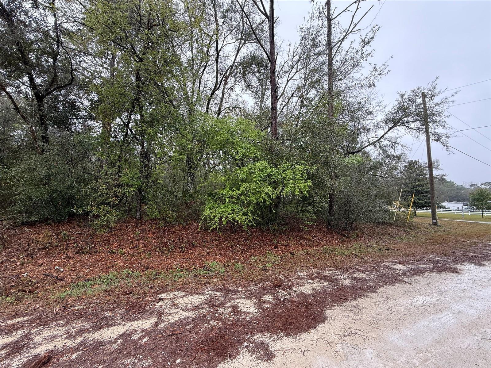 7319 IDLEWOOD DR, WEBSTER, FL, 33597
