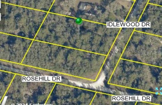 7319 IDLEWOOD DR, WEBSTER, FL, 33597