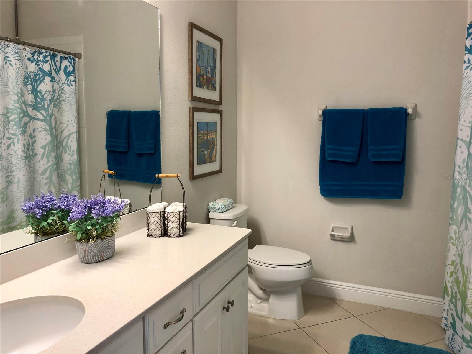 11174 SPRING POINT CIR, RIVERVIEW, FL, 33579