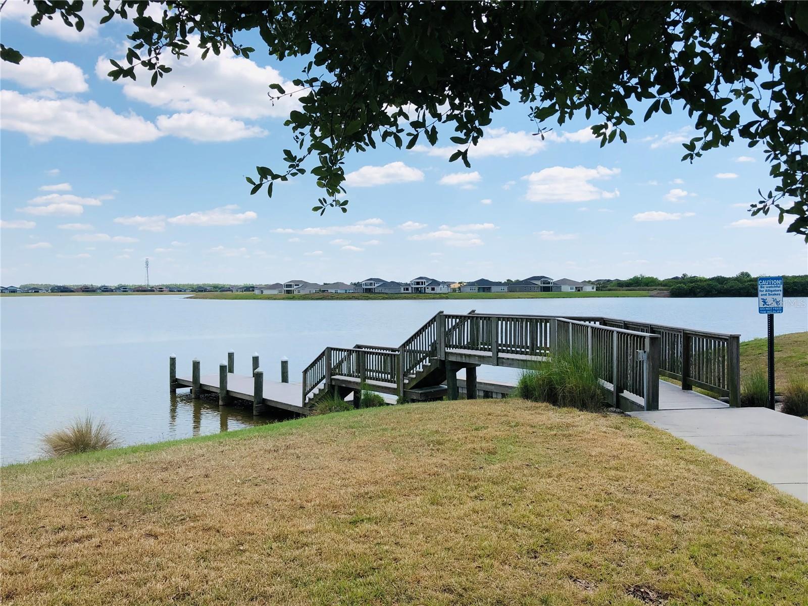 11174 SPRING POINT CIR, RIVERVIEW, FL, 33579