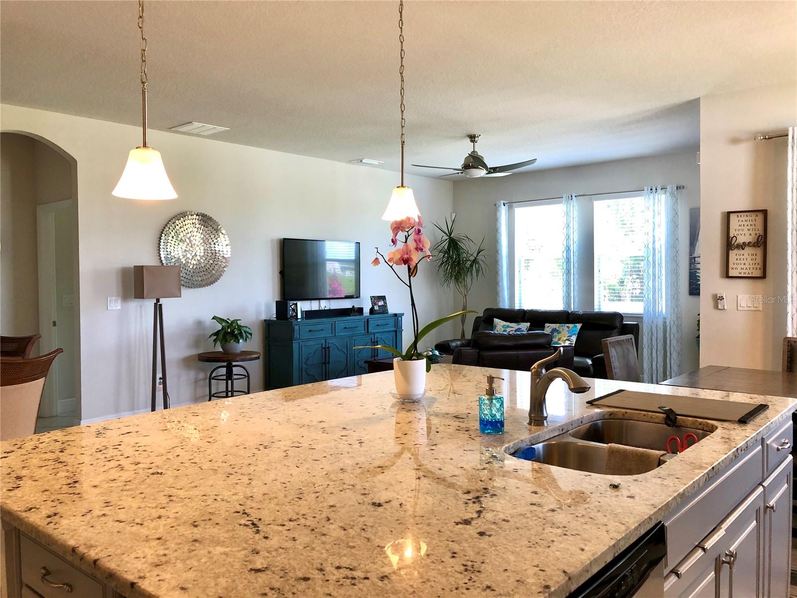 11174 SPRING POINT CIR, RIVERVIEW, FL, 33579
