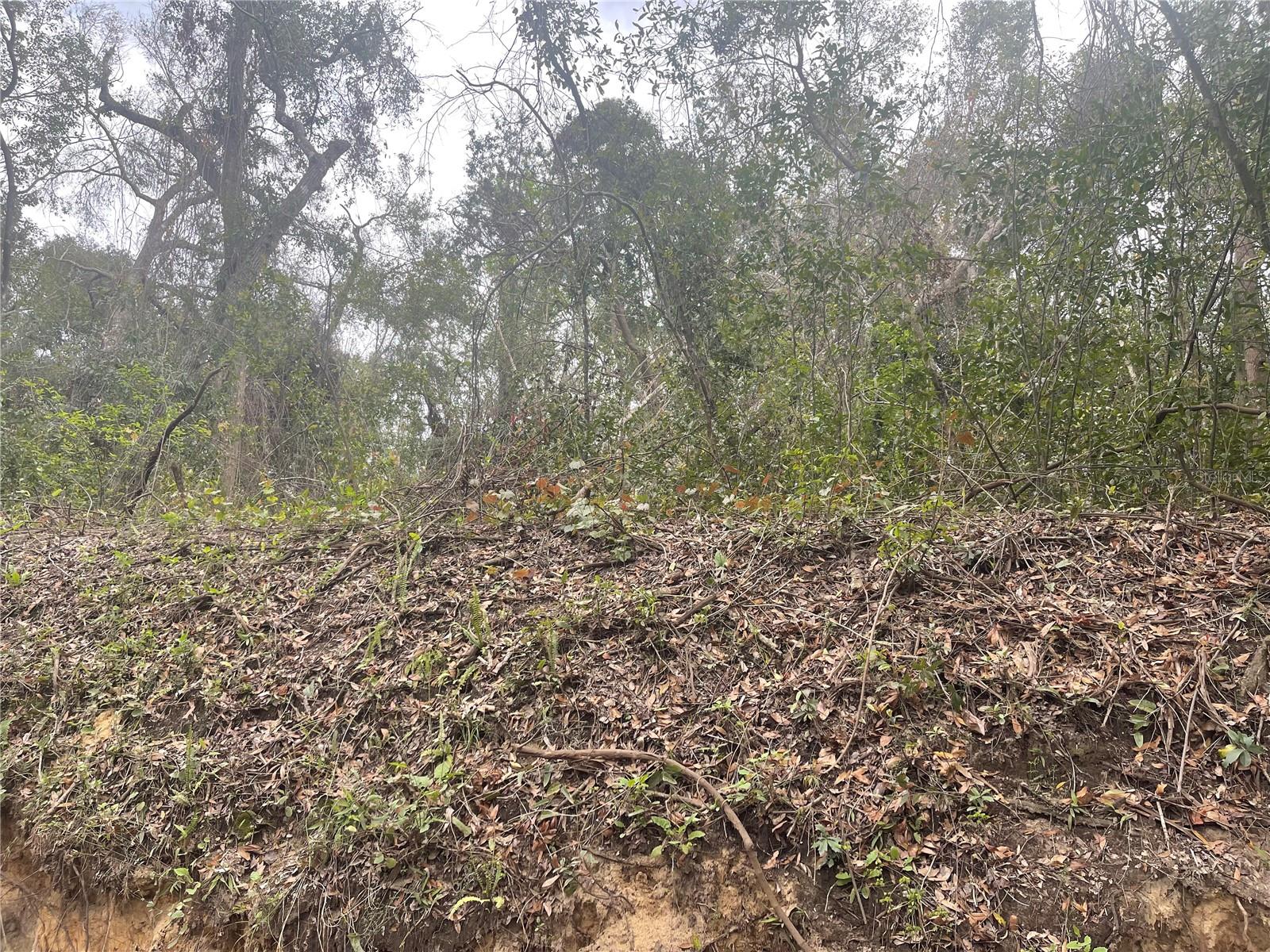 RUFFING RD, DADE CITY, FL, 33523