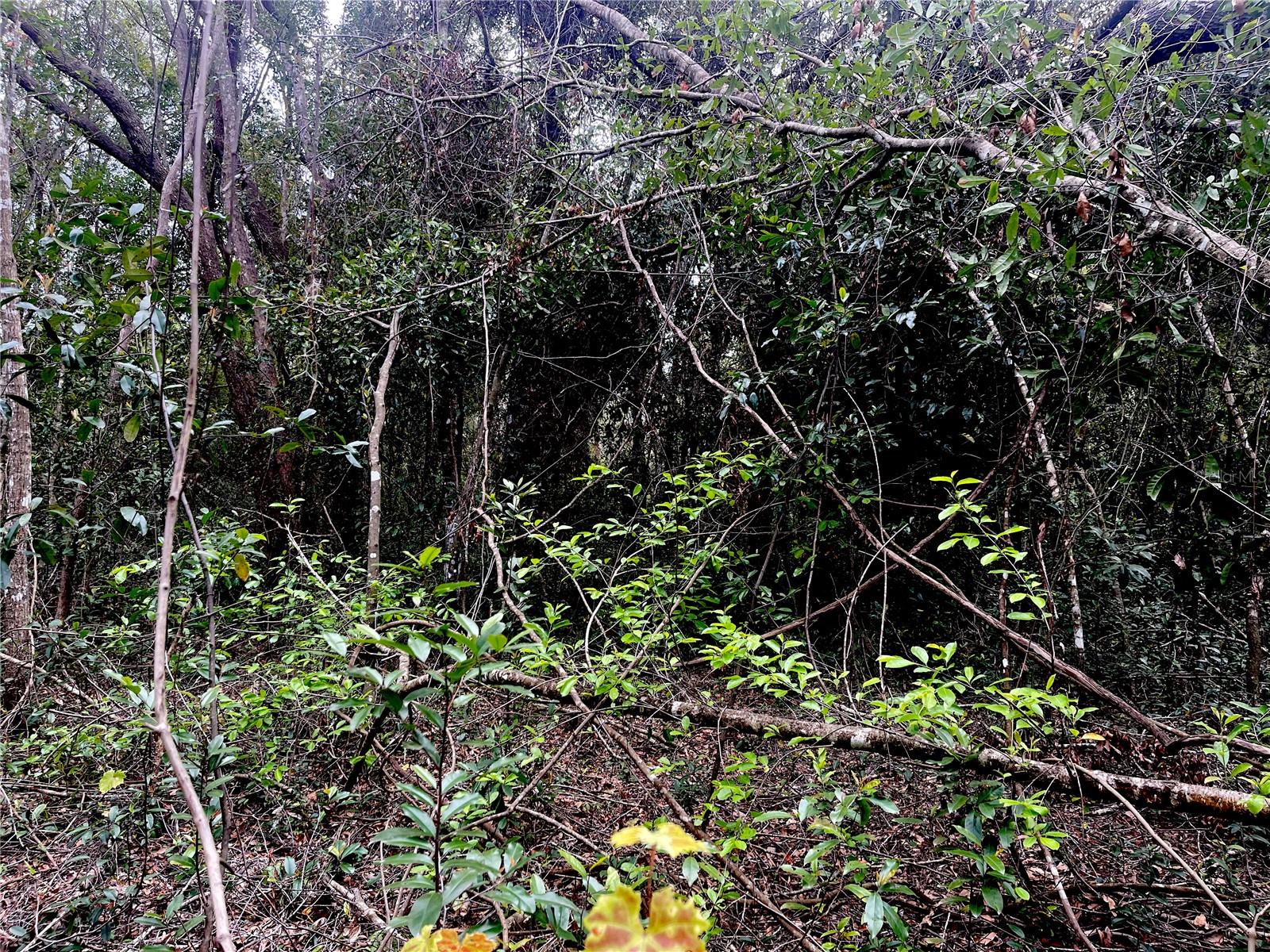 RUFFING RD, DADE CITY, FL, 33523