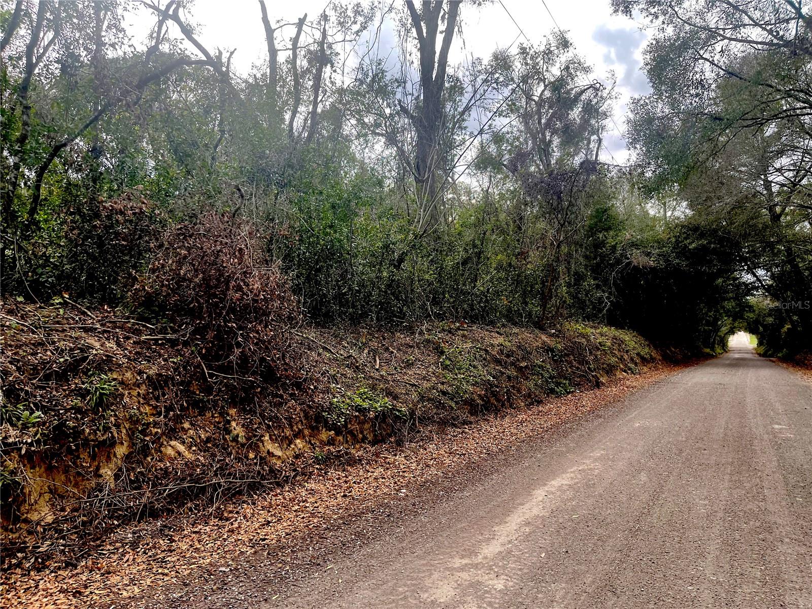 RUFFING RD, DADE CITY, FL, 33523