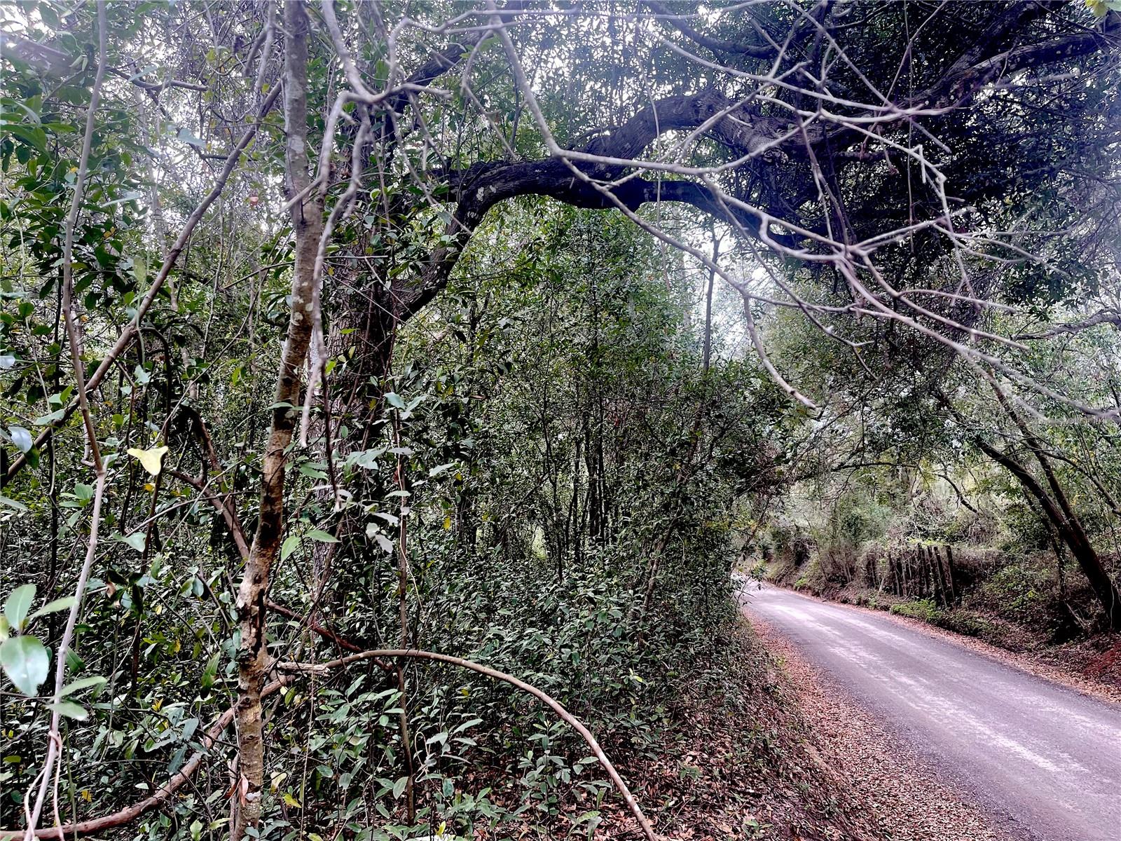 RUFFING RD, DADE CITY, FL, 33523