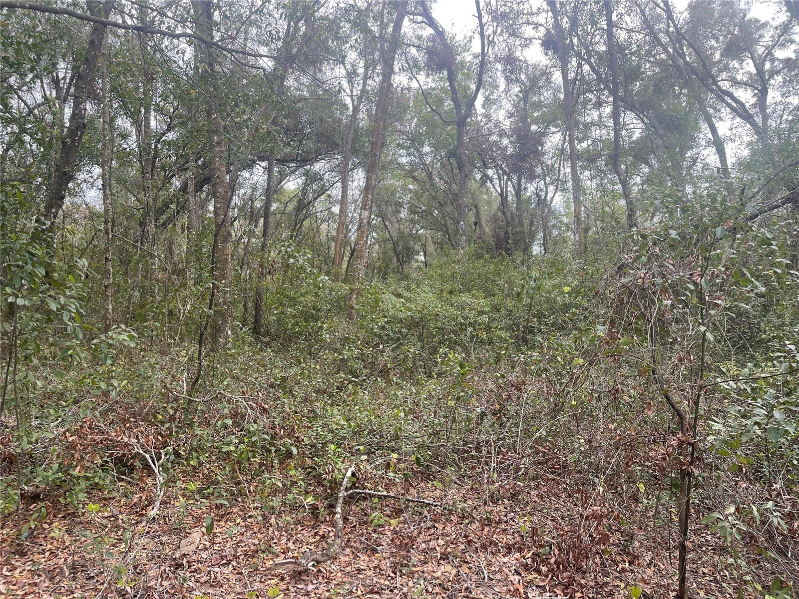 RUFFING RD, DADE CITY, FL, 33523