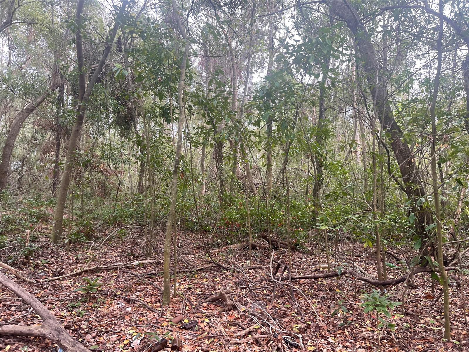 RUFFING RD, DADE CITY, FL, 33523