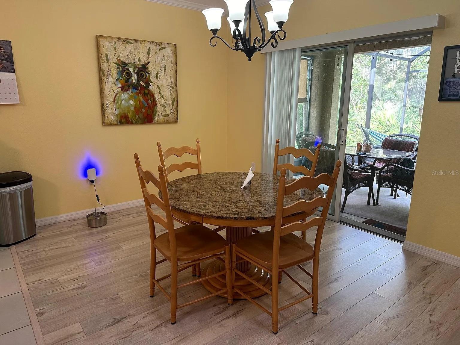 525 WHITE CORAL LN, NEW SMYRNA BEACH, FL, 32168