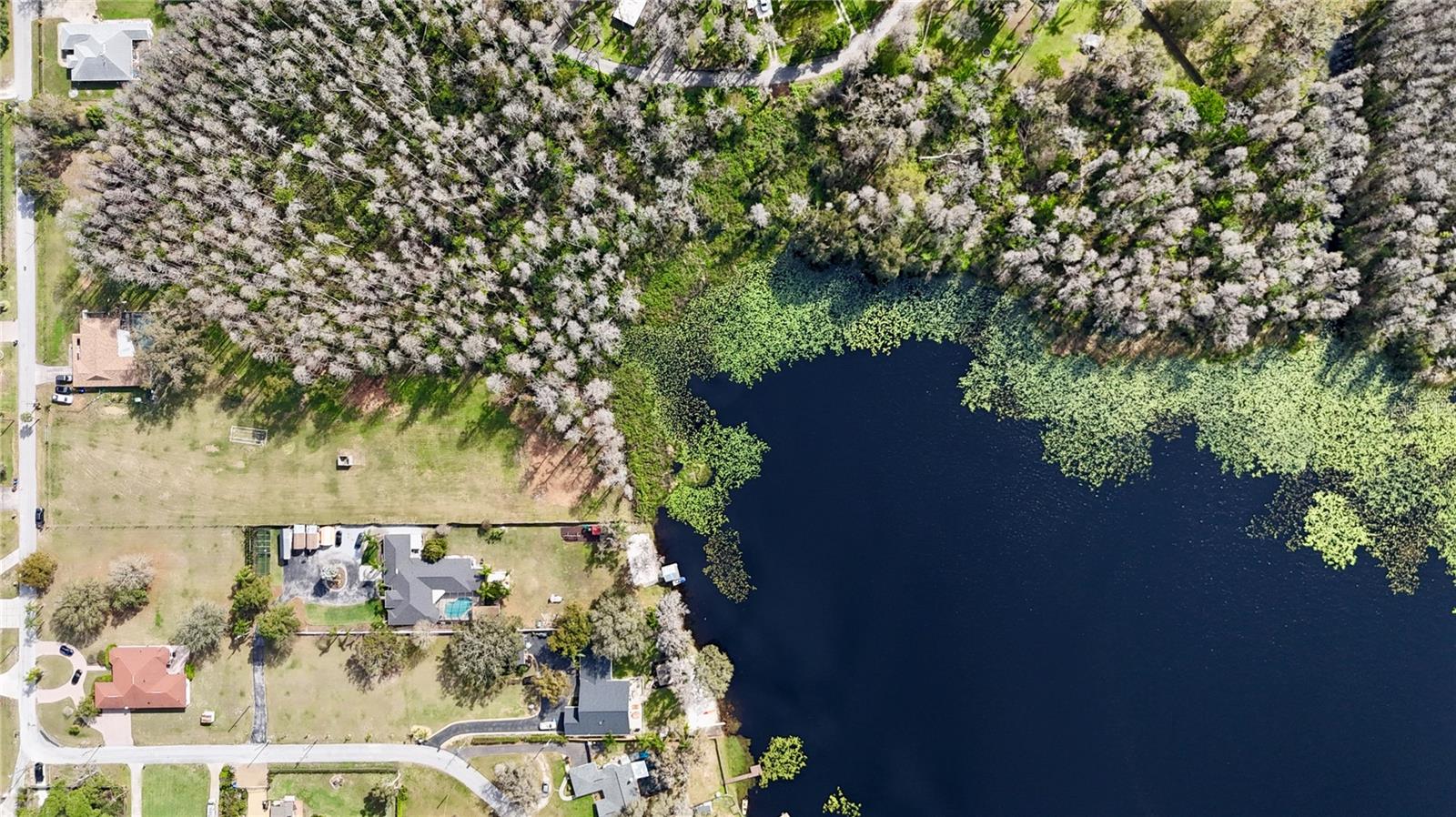 BLOUNT RD, LUTZ, FL, 33558