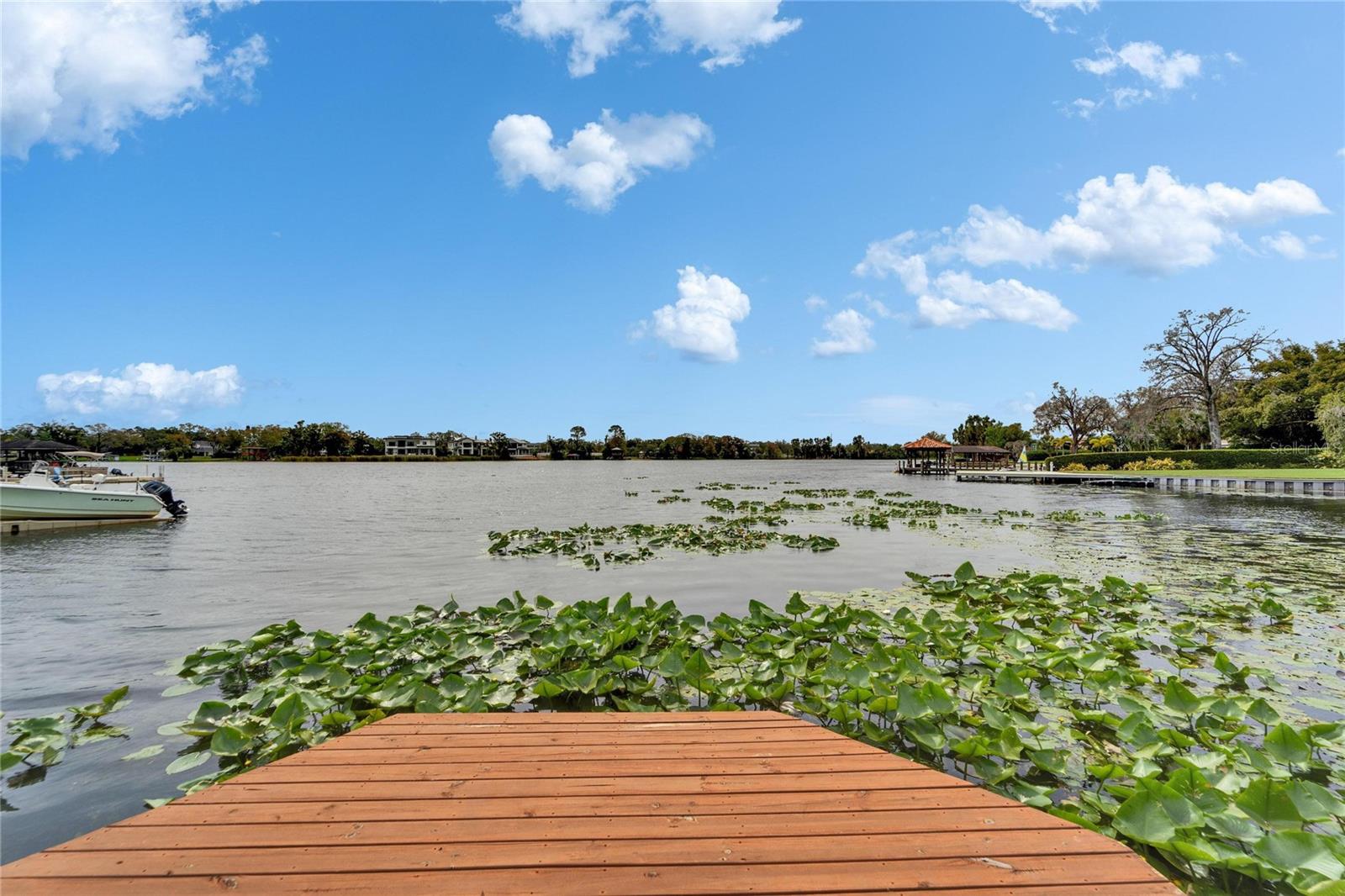 10301 RECLINATA LN, TAMPA, FL, 33618
