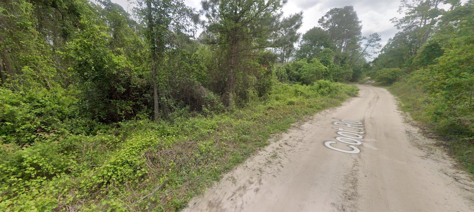 120 COOT RD, SATSUMA, FL, 32189