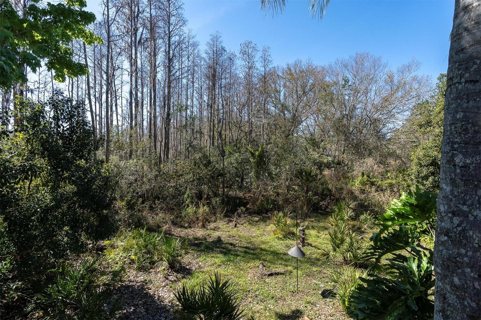 18908 NEST FERN CIR, TAMPA, FL, 33647