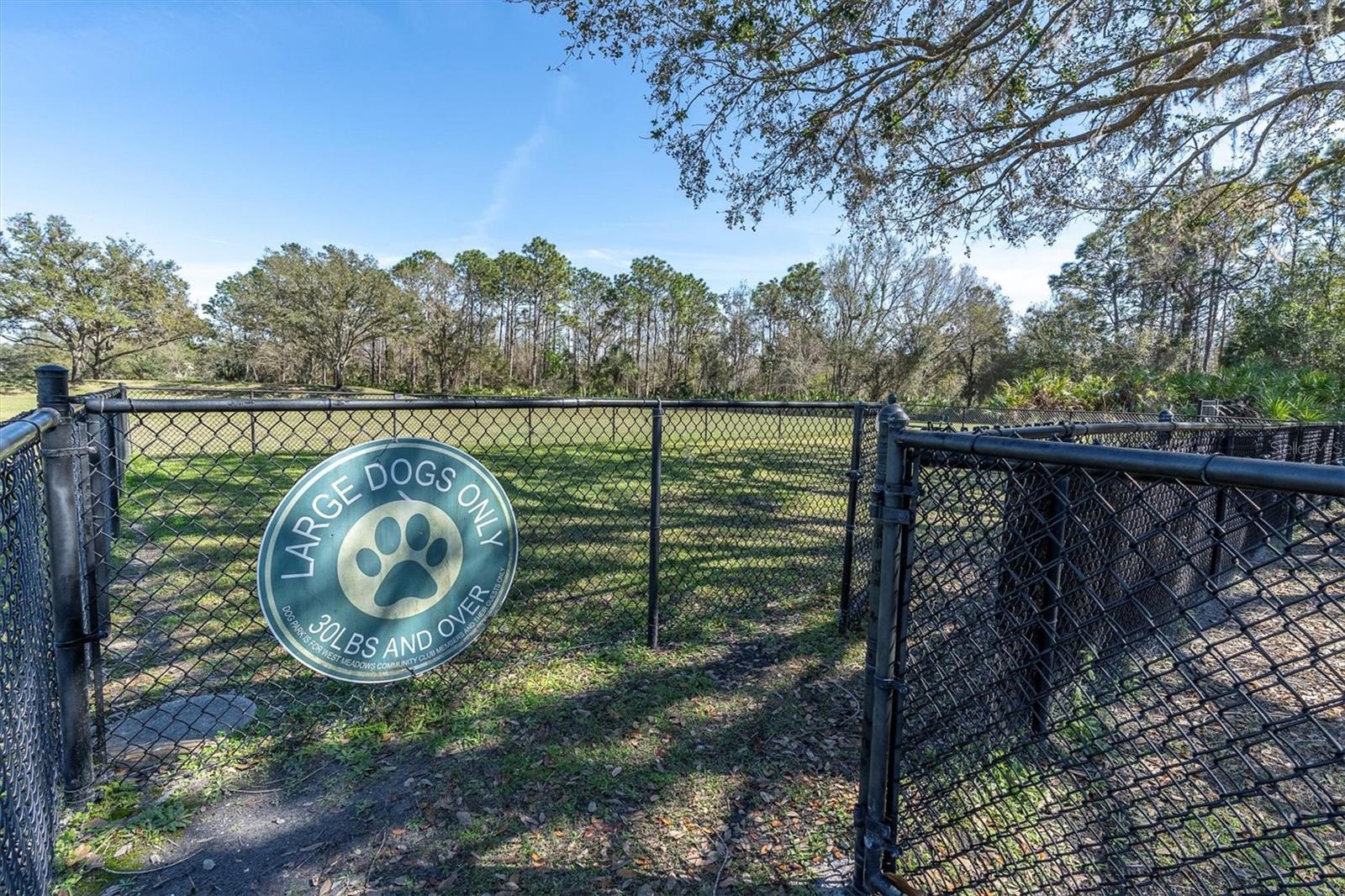 18908 NEST FERN CIR, TAMPA, FL, 33647
