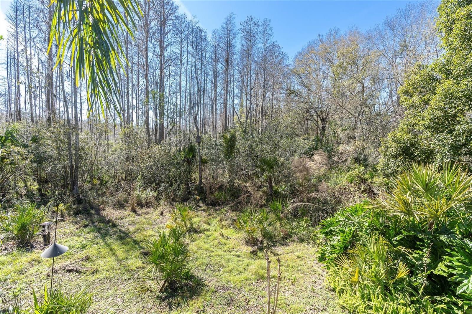 18908 NEST FERN CIR, TAMPA, FL, 33647