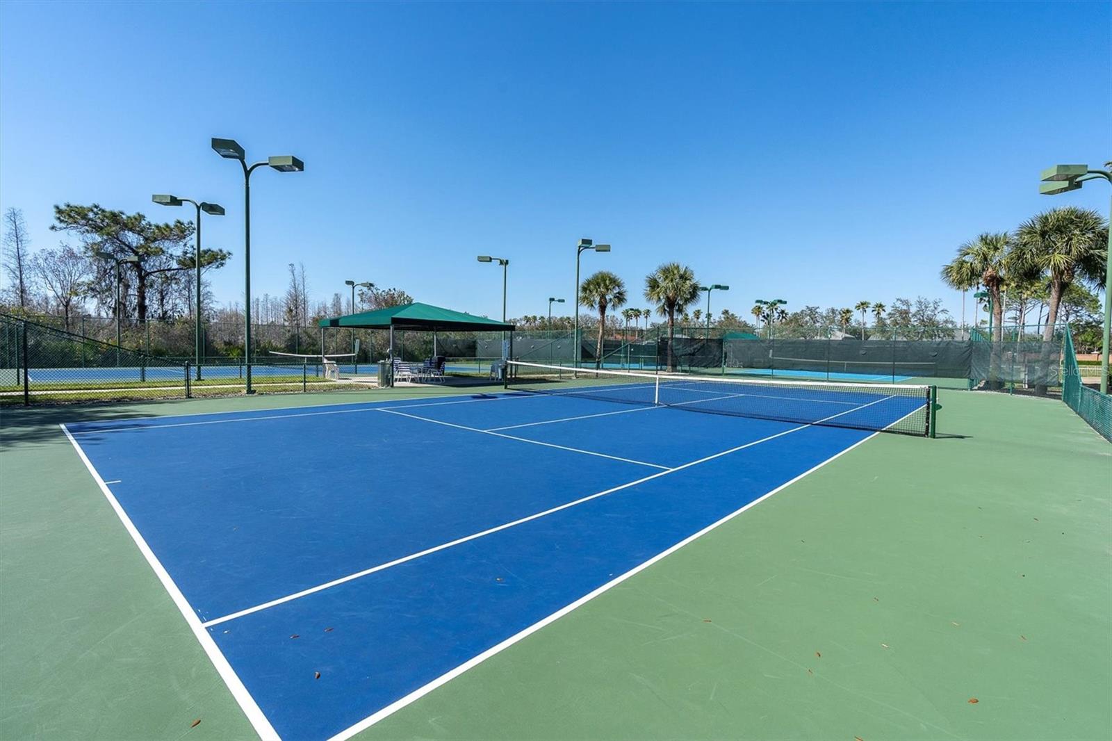18908 NEST FERN CIR, TAMPA, FL, 33647