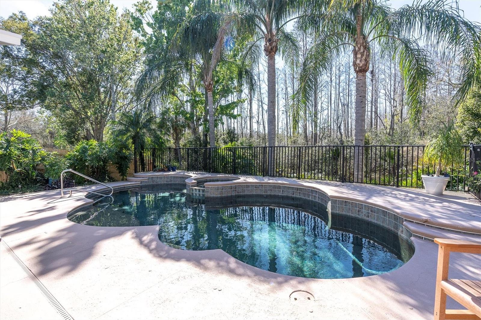 18908 NEST FERN CIR, TAMPA, FL, 33647