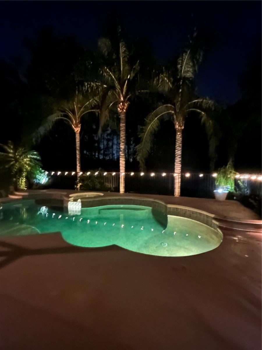 18908 NEST FERN CIR, TAMPA, FL, 33647