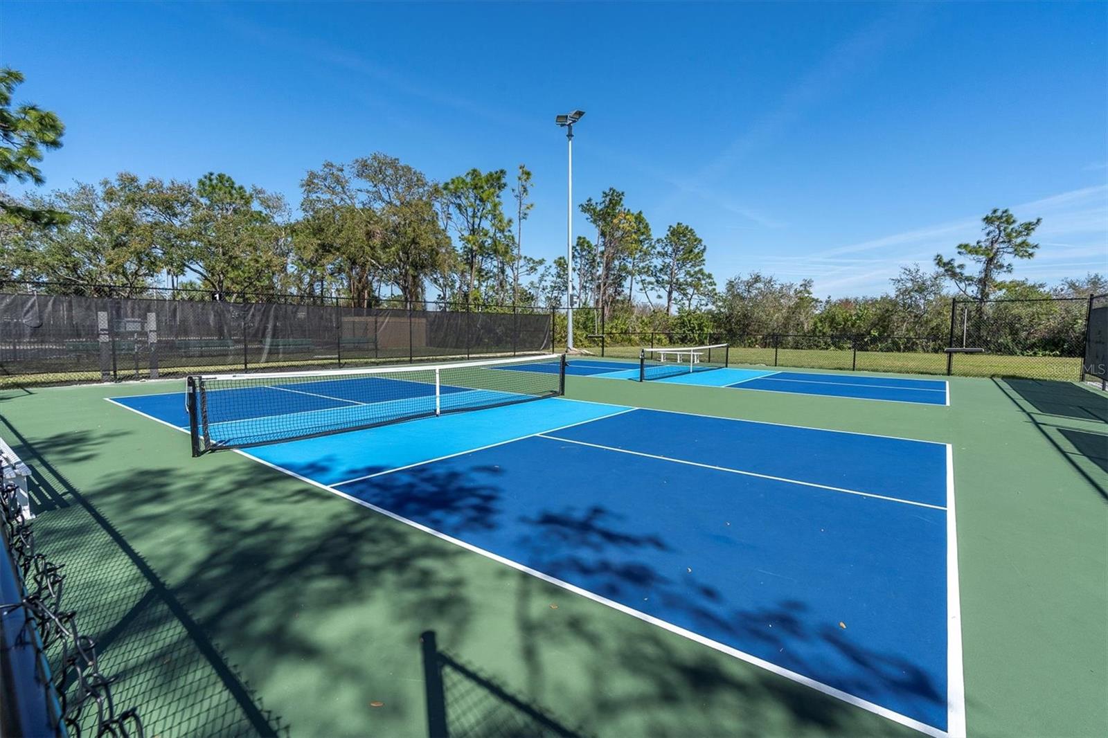 18908 NEST FERN CIR, TAMPA, FL, 33647