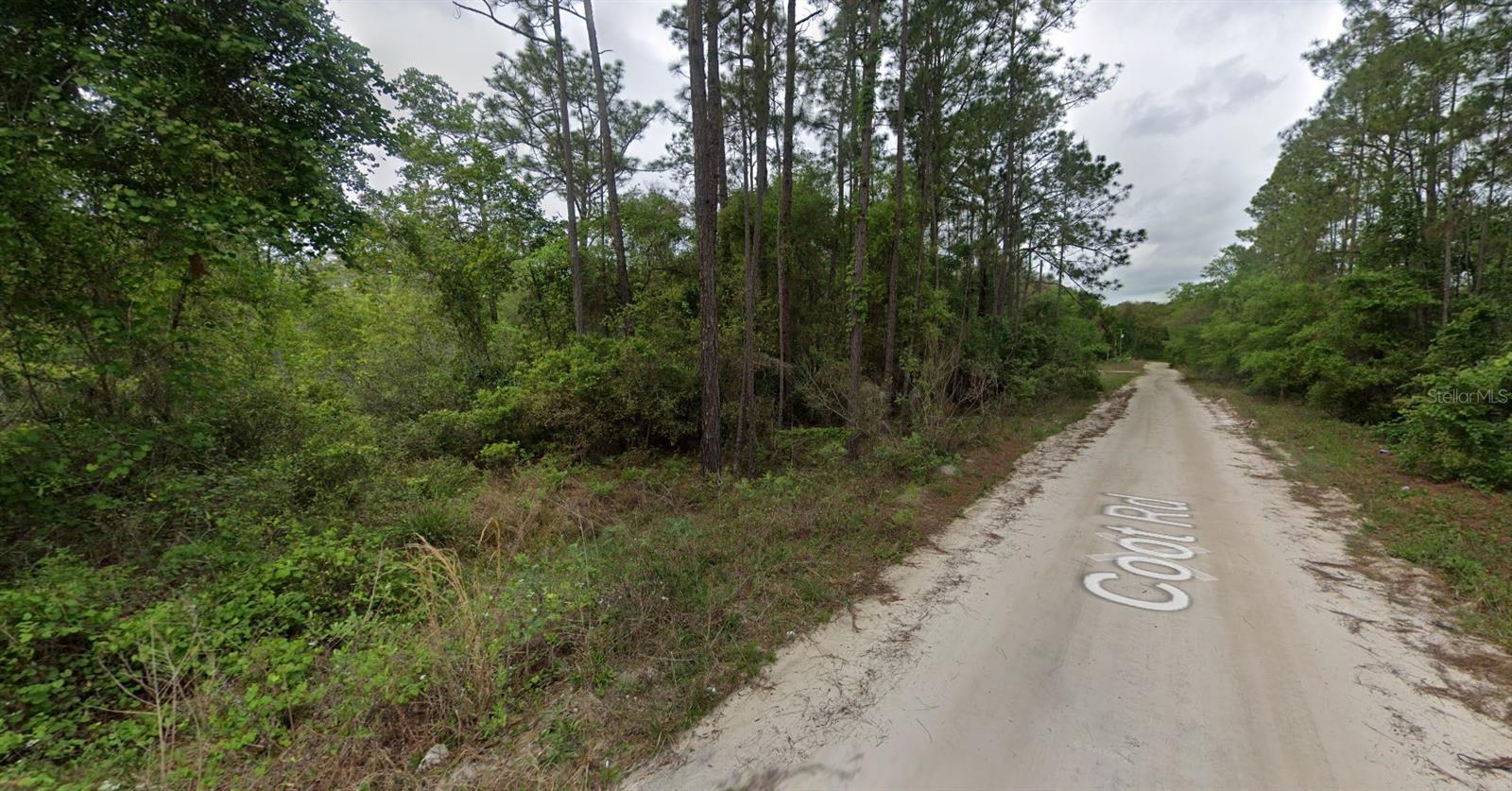 117 COOT RD, SATSUMA, FL, 32189