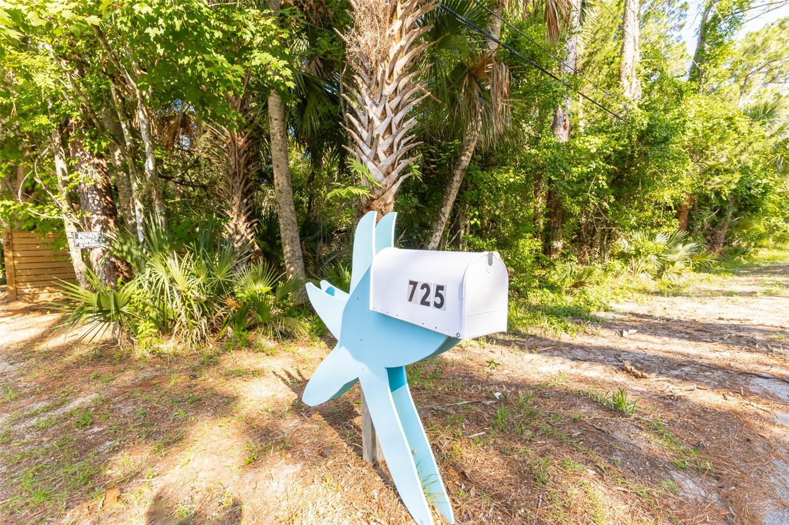 725 INGHAM RD, NEW SMYRNA BEACH, FL, 32168