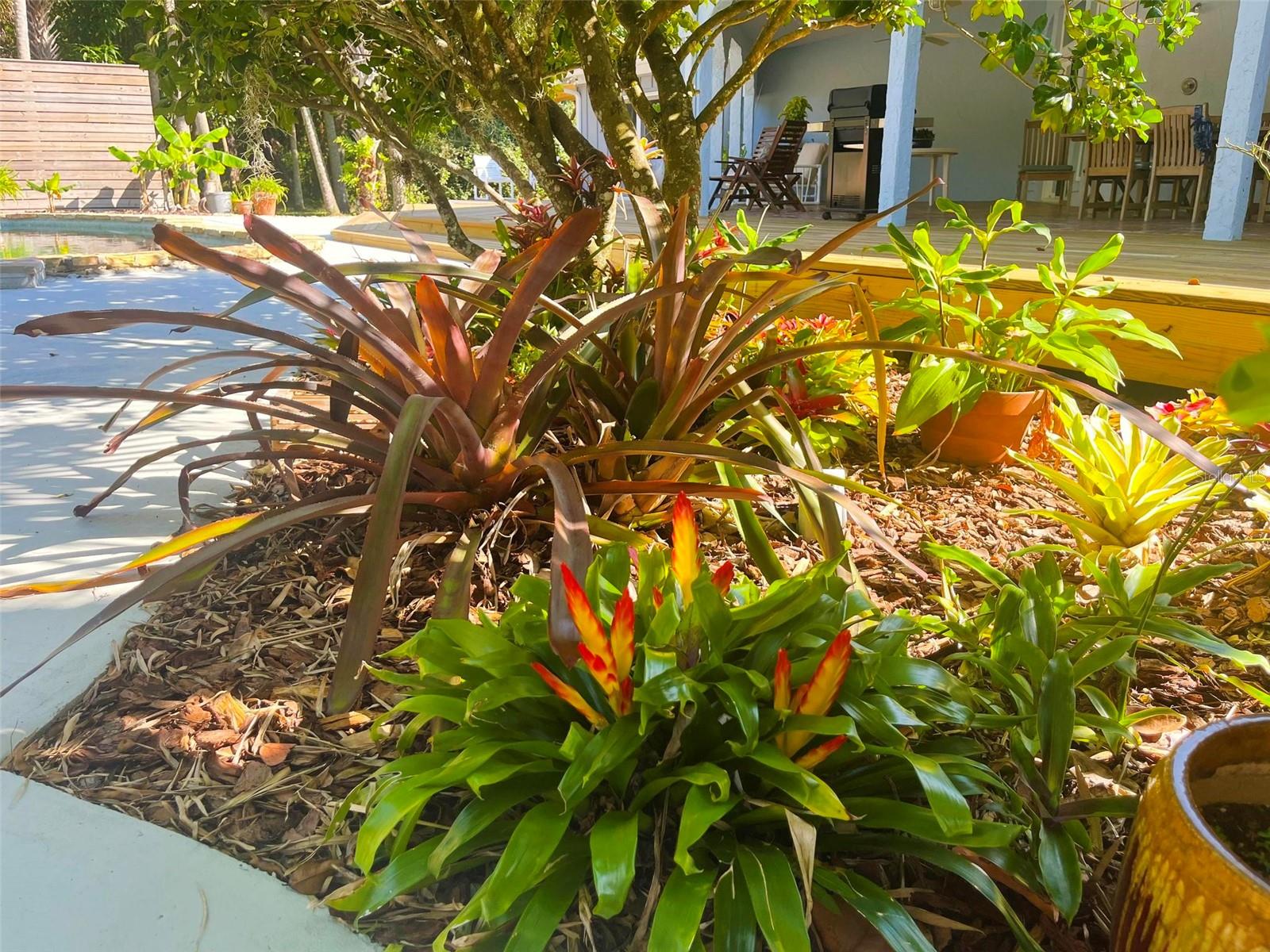 725 INGHAM RD, NEW SMYRNA BEACH, FL, 32168