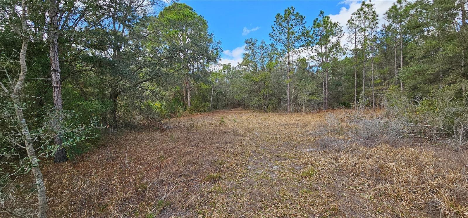 11617 DUDA RD, HUDSON, FL, 34667
