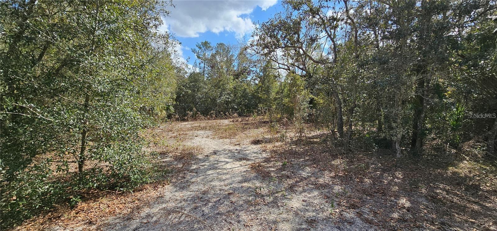 11617 DUDA RD, HUDSON, FL, 34667