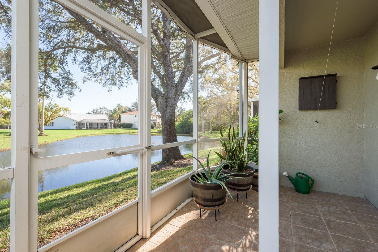 720 EARLS CT, SAFETY HARBOR, FL, 34695
