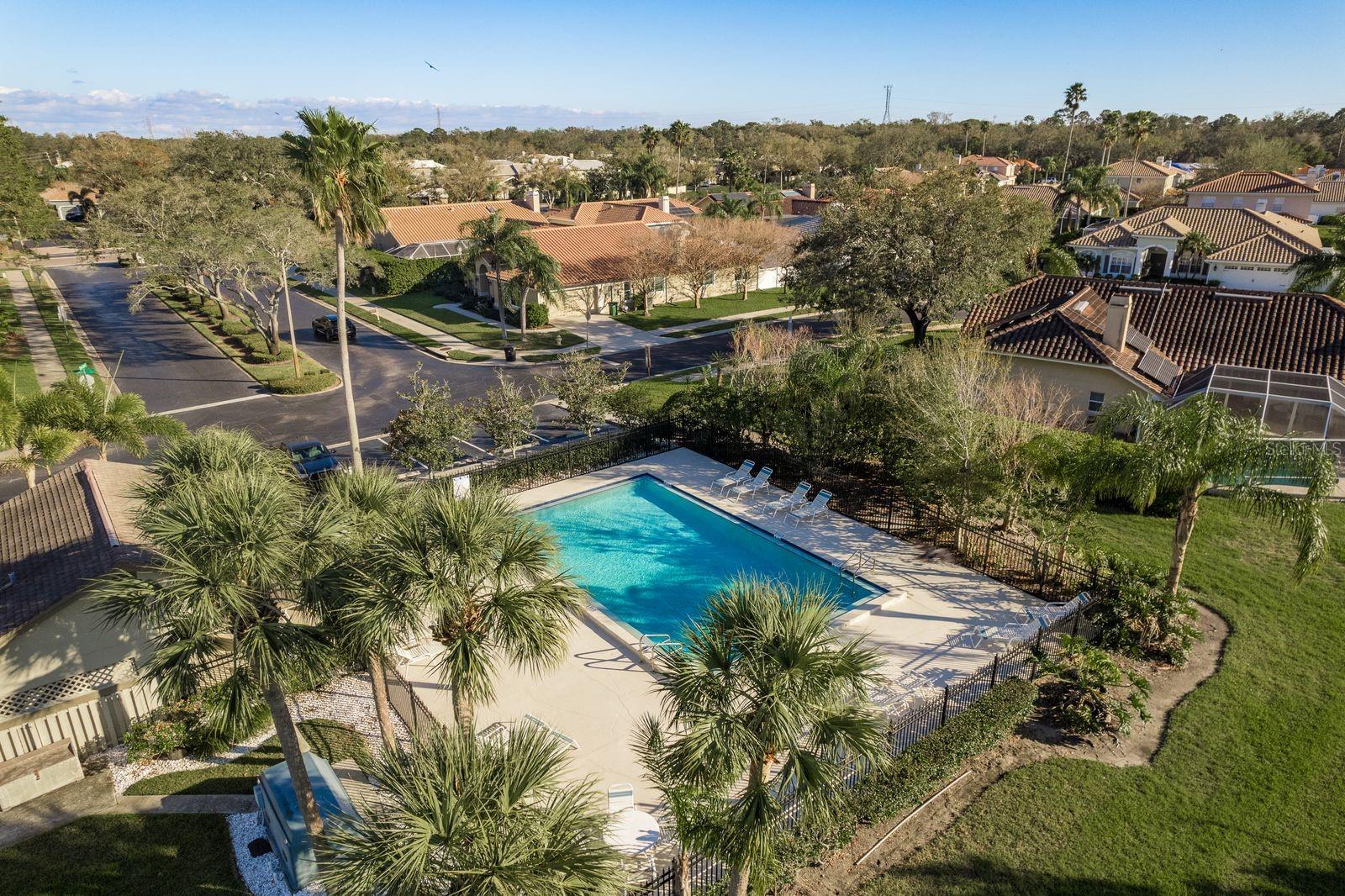 720 EARLS CT, SAFETY HARBOR, FL, 34695