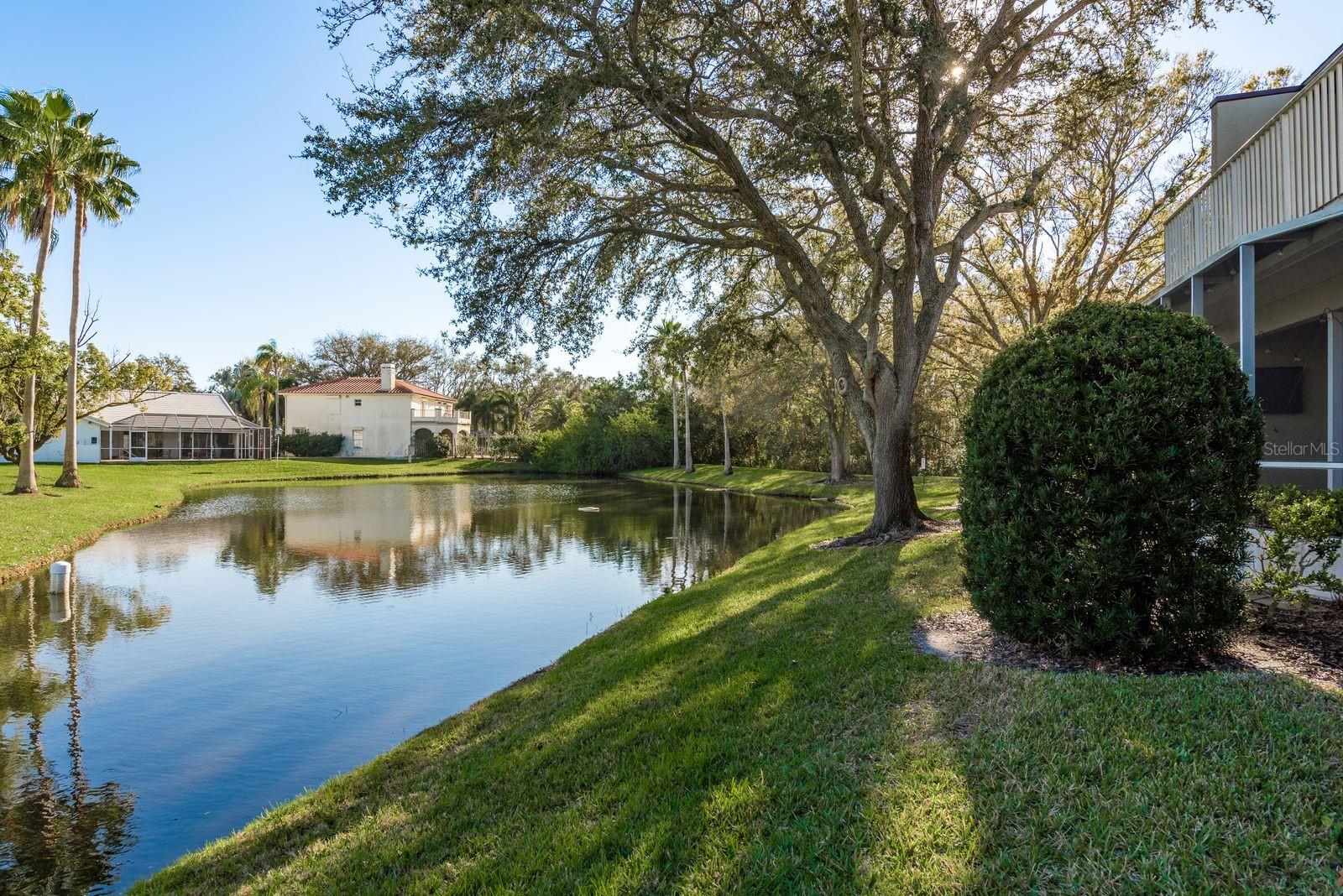 720 EARLS CT, SAFETY HARBOR, FL, 34695