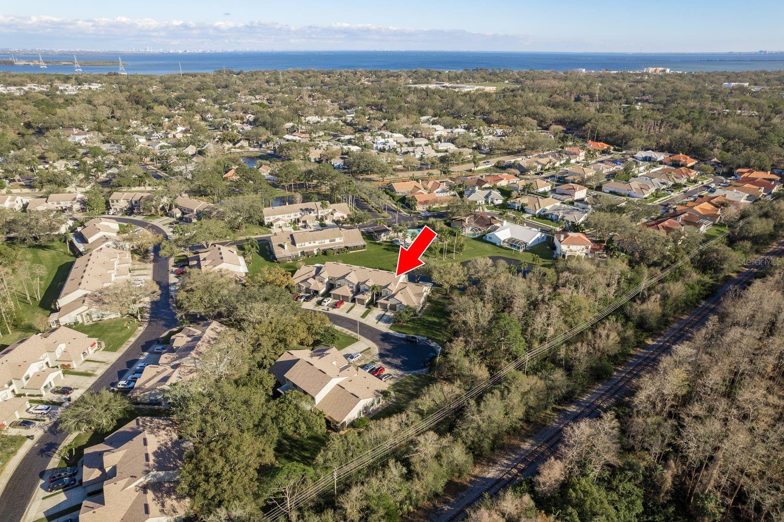 720 EARLS CT, SAFETY HARBOR, FL, 34695