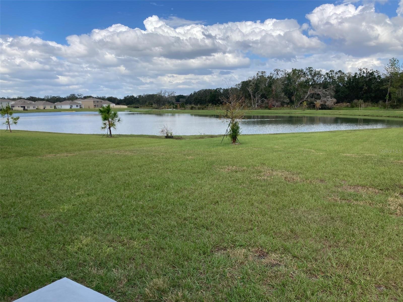 35985 ELLSWORTH PL, ZEPHYRHILLS, FL, 33541