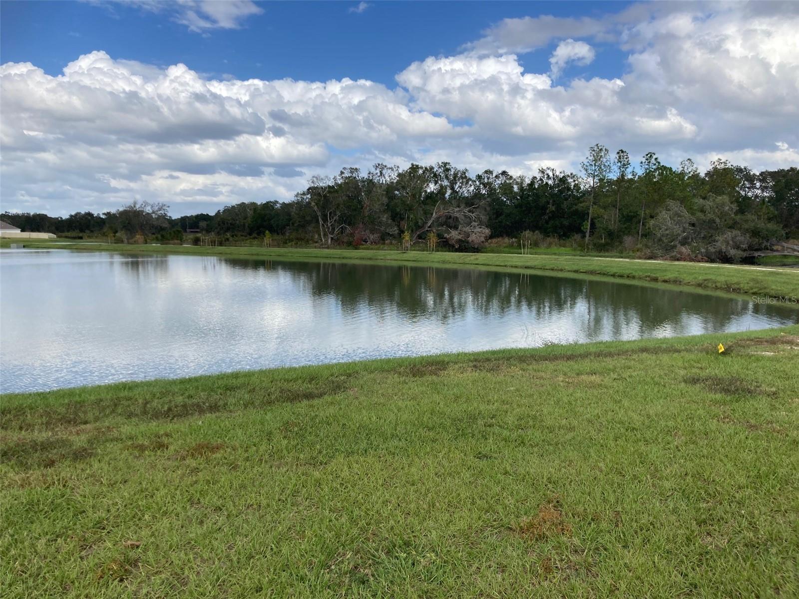 35985 ELLSWORTH PL, ZEPHYRHILLS, FL, 33541