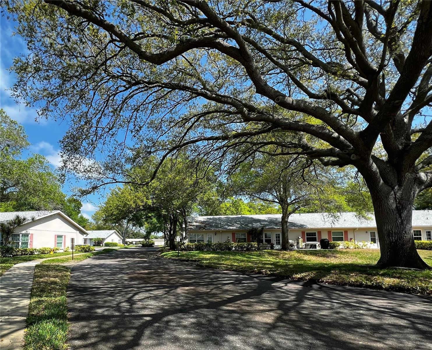 1535 NURSERY RD #201, CLEARWATER, FL, 33756