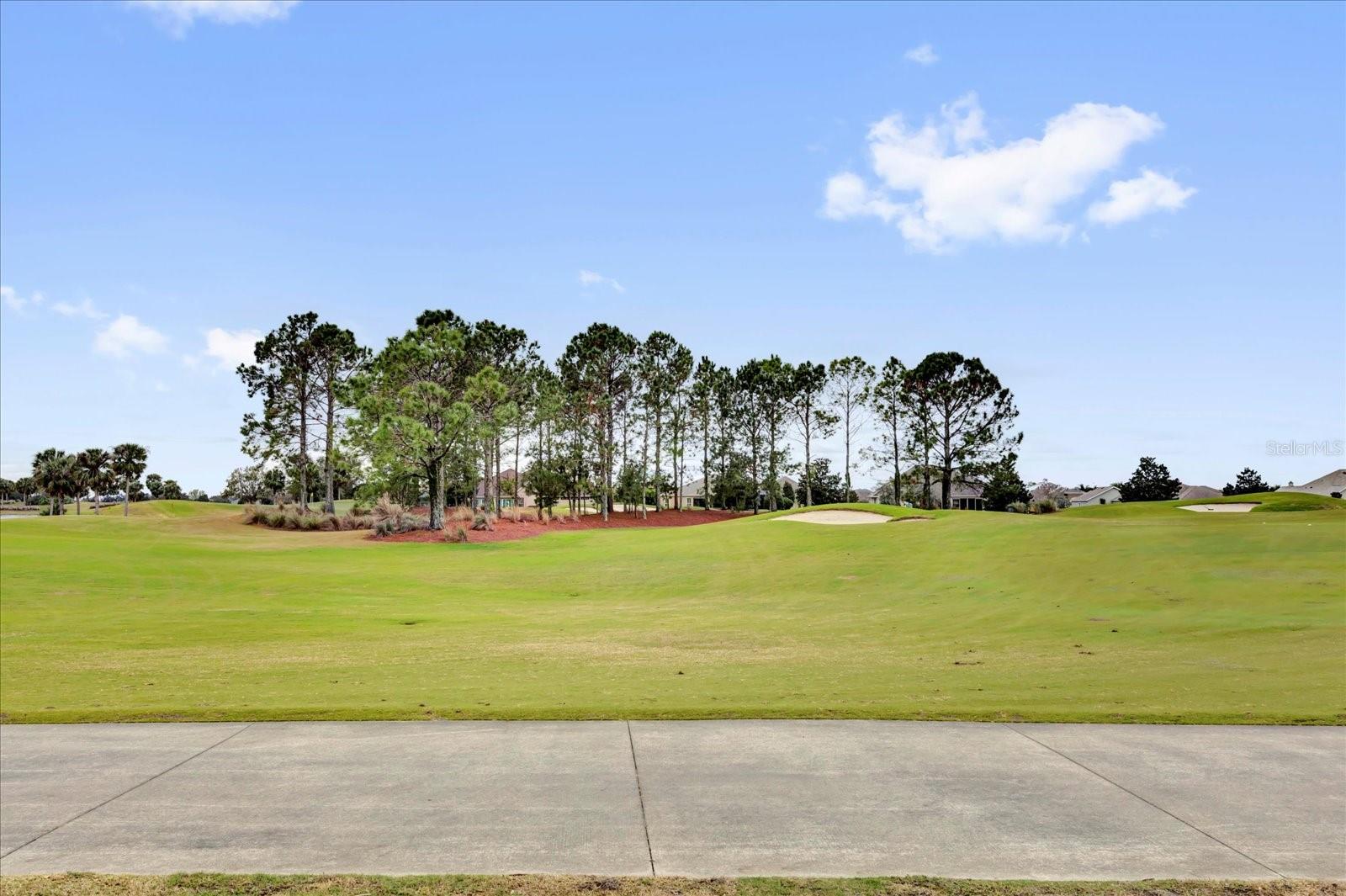 1755 LAKEWOOD DR, THE VILLAGES, FL, 32162