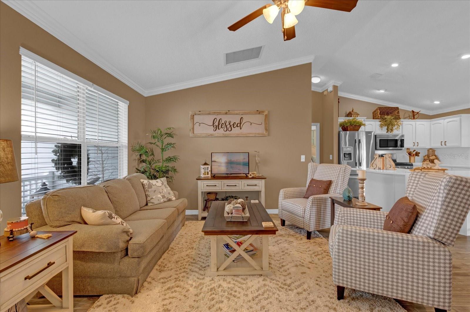 1755 LAKEWOOD DR, THE VILLAGES, FL, 32162