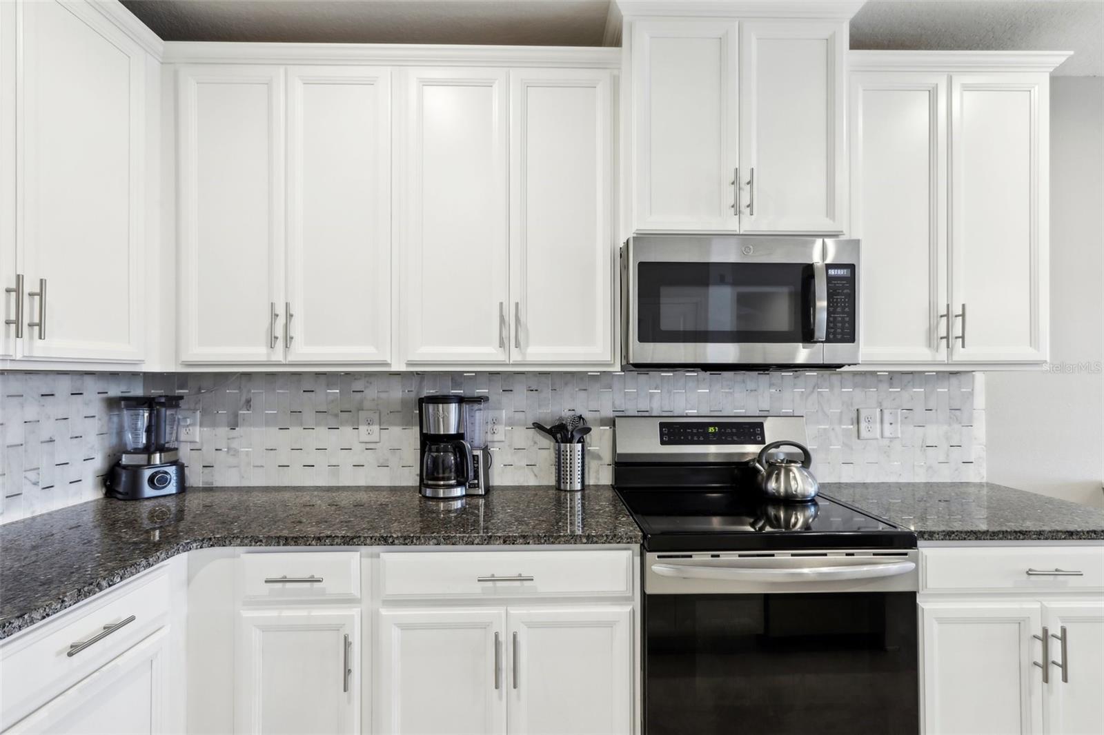 10347 HERON HIDEAWAY LOOP, LAND O LAKES, FL, 34638