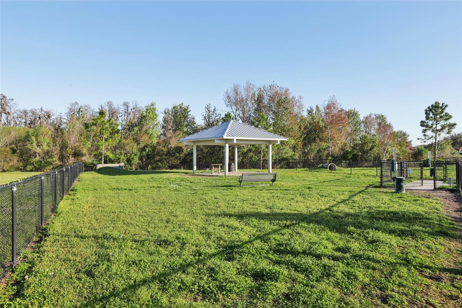 10347 HERON HIDEAWAY LOOP, LAND O LAKES, FL, 34638