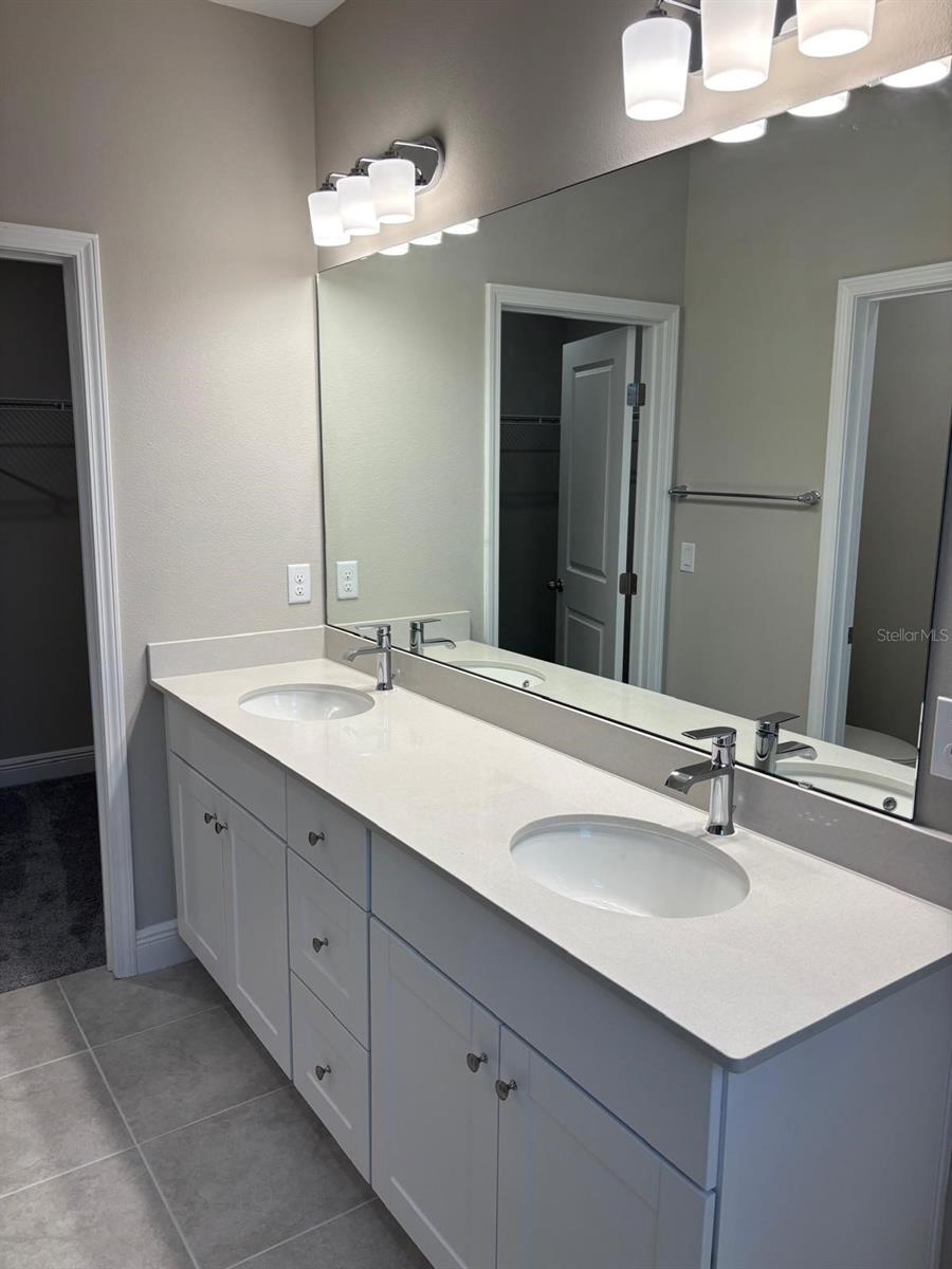 16404 HAMLIN HILLS RD, WINTER GARDEN, FL, 34787