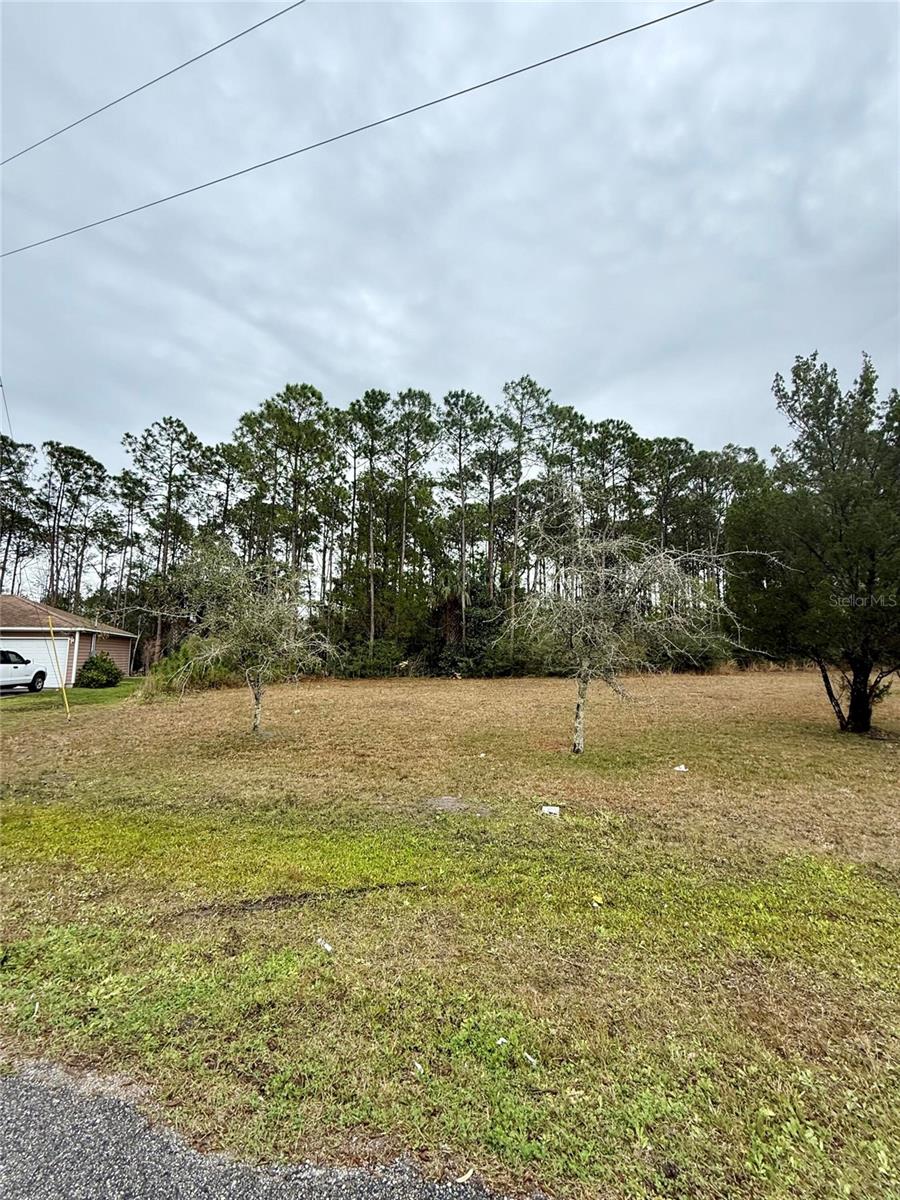 245 ULLIAN TRL, PALM COAST, FL, 32164