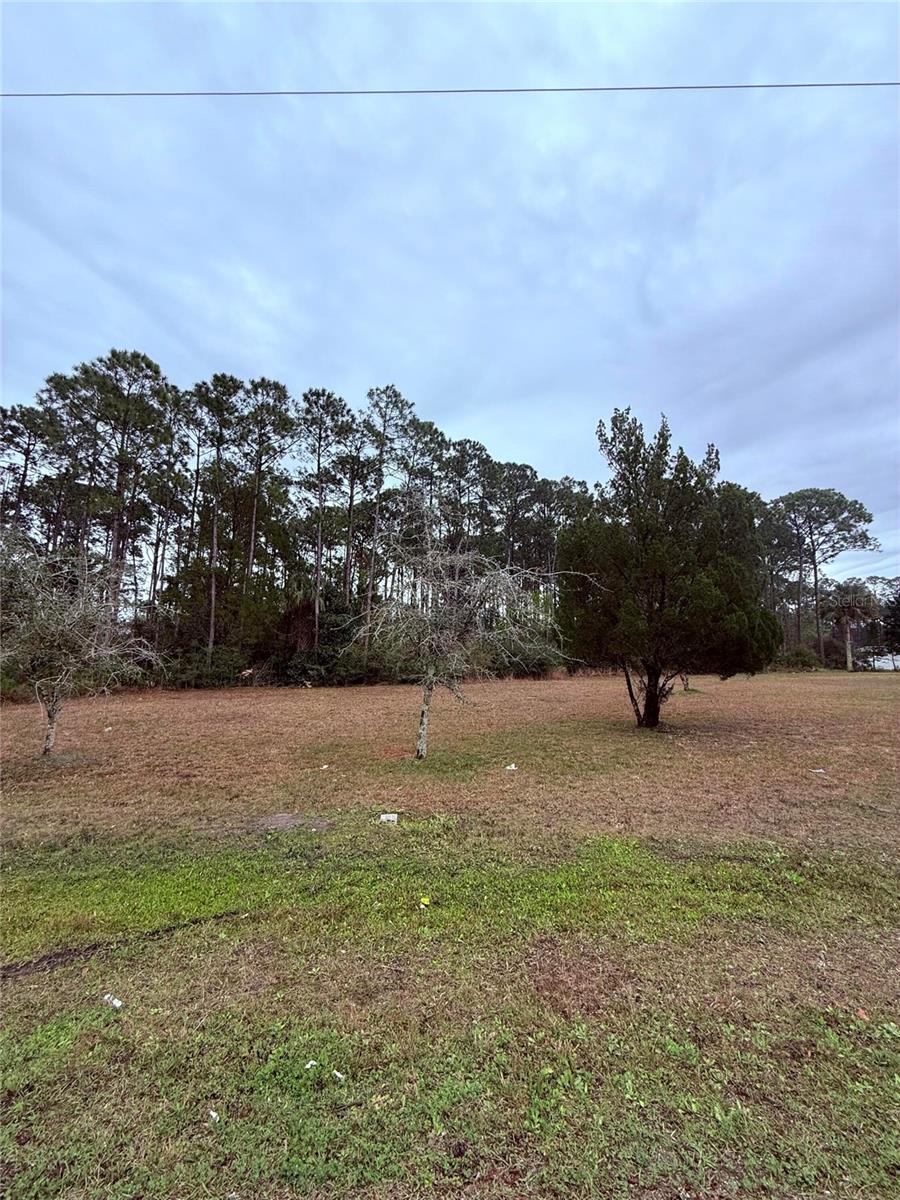 245 ULLIAN TRL, PALM COAST, FL, 32164