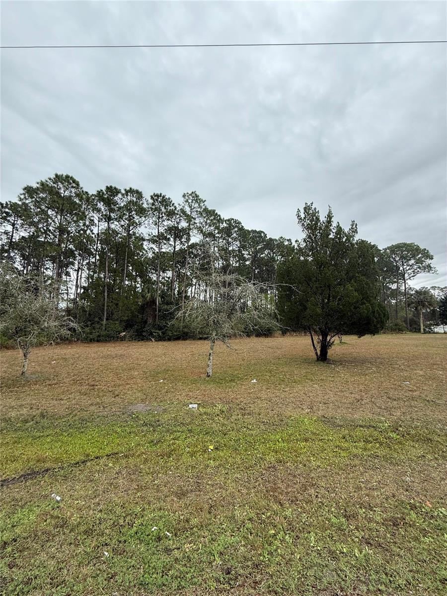 245 ULLIAN TRL, PALM COAST, FL, 32164
