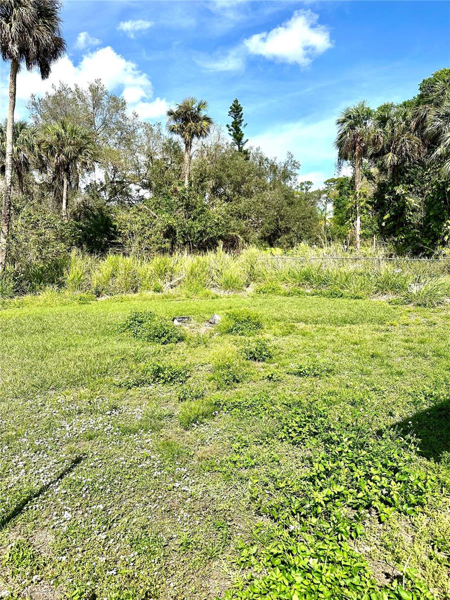 954 FORDSON AVE, LABELLE, FL, 33935