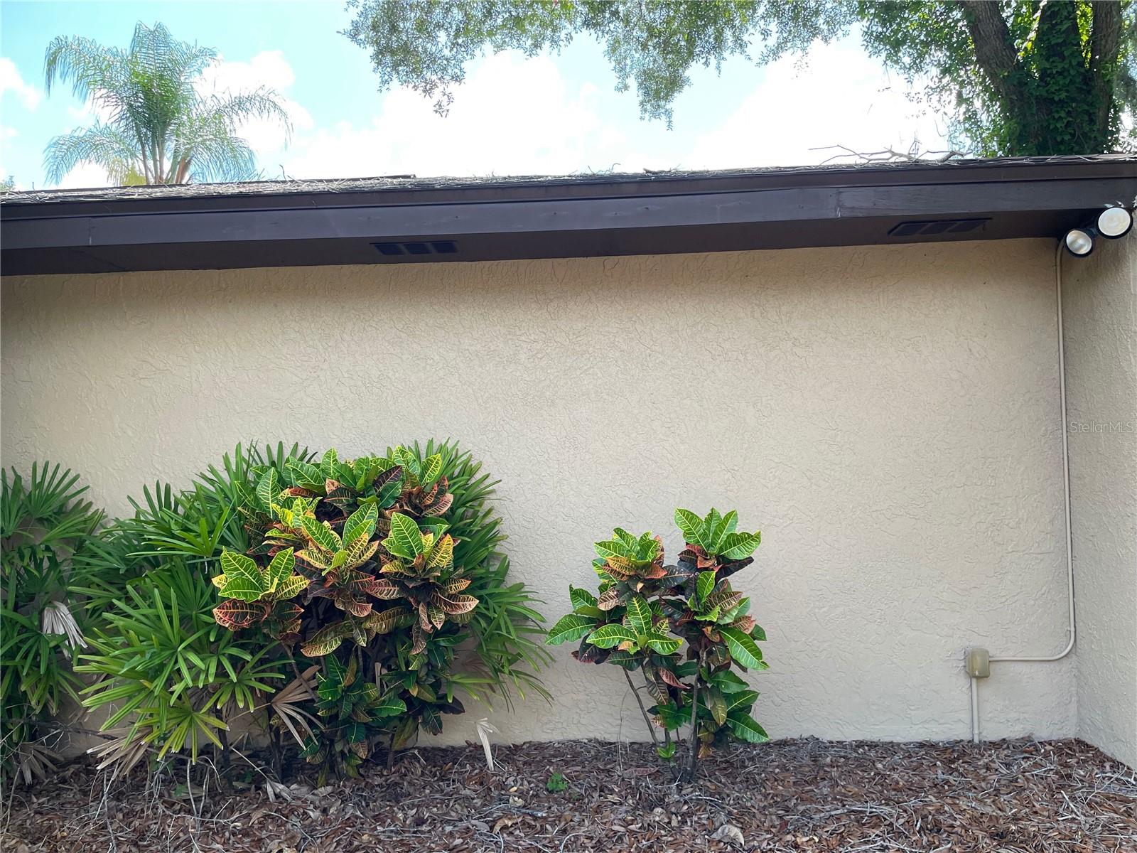 2206 WALLWOOD PL, BRANDON, FL, 33510