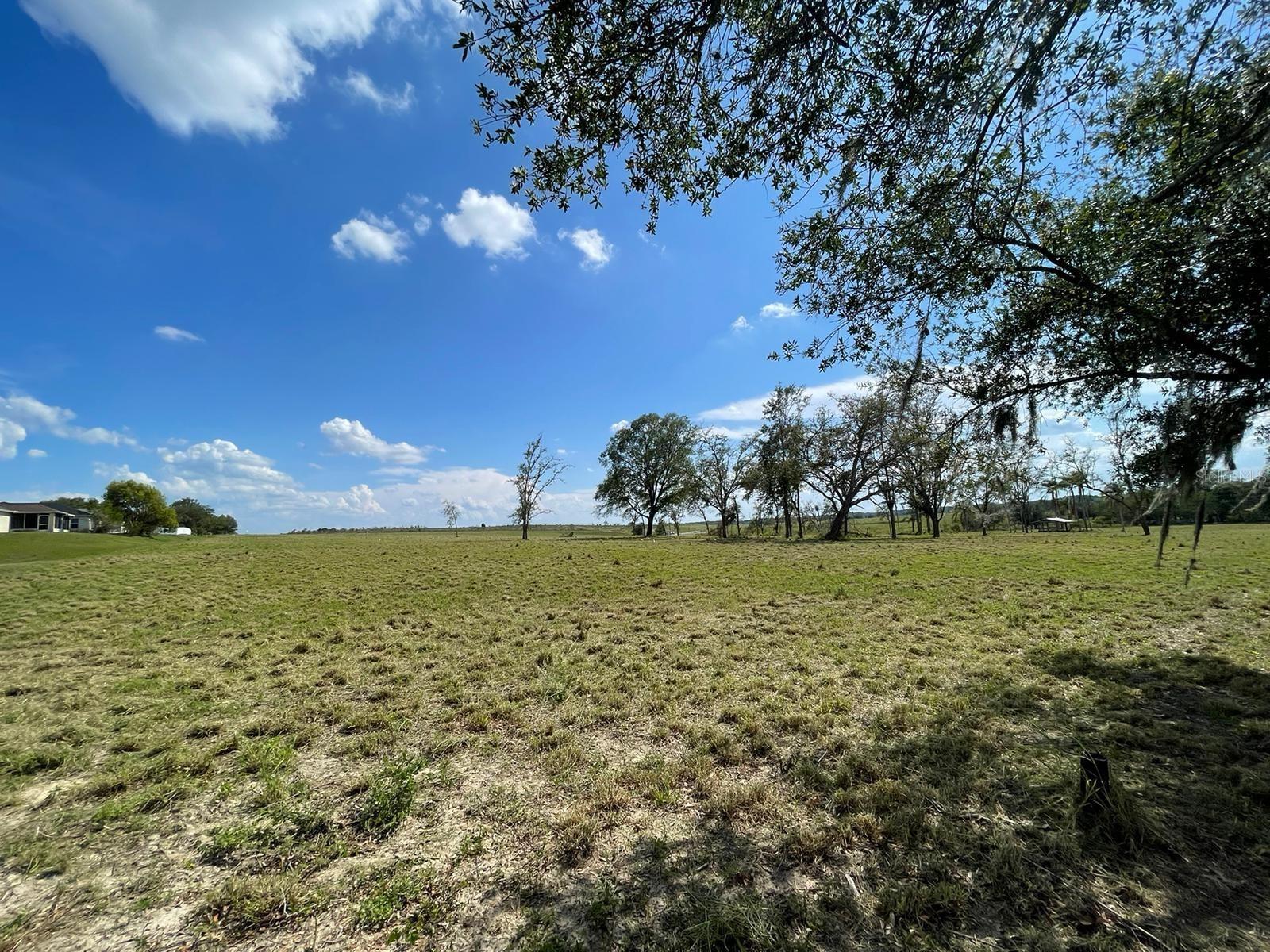 Lot 2 MERCADO CT, CLERMONT, FL, 34711