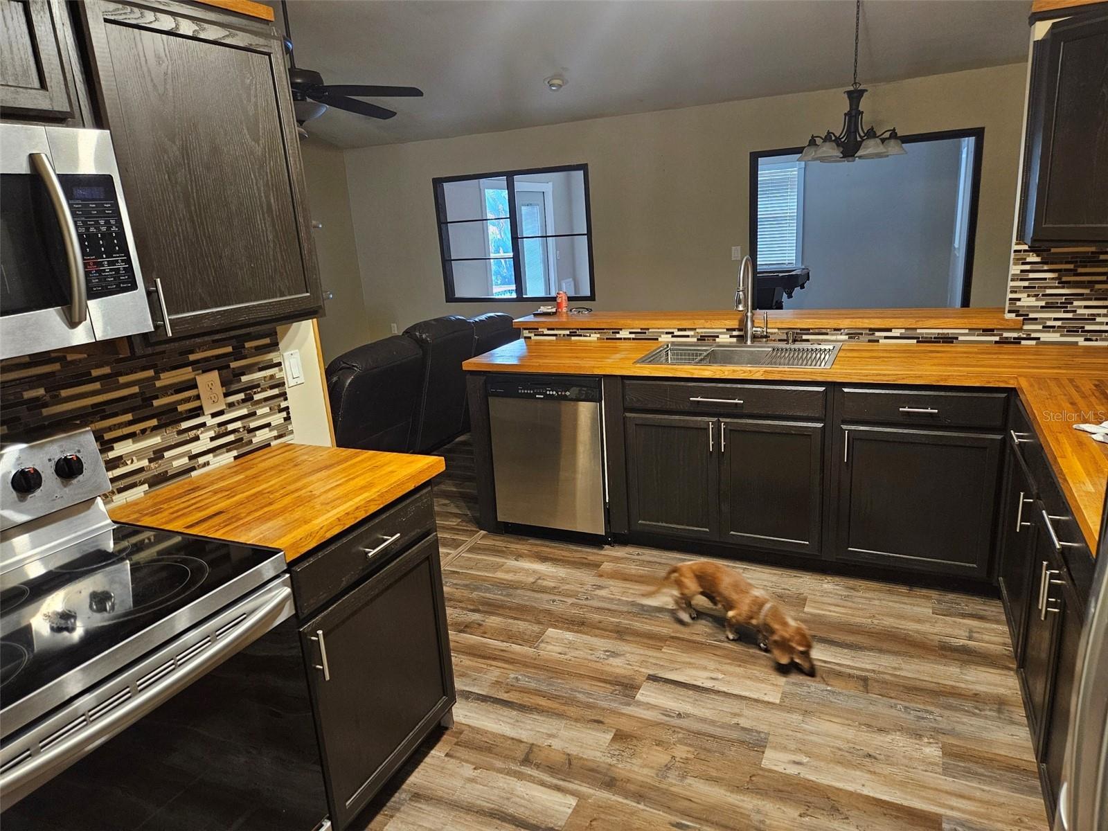 7730 ARLIGHT DR, NEW PORT RICHEY, FL, 34655