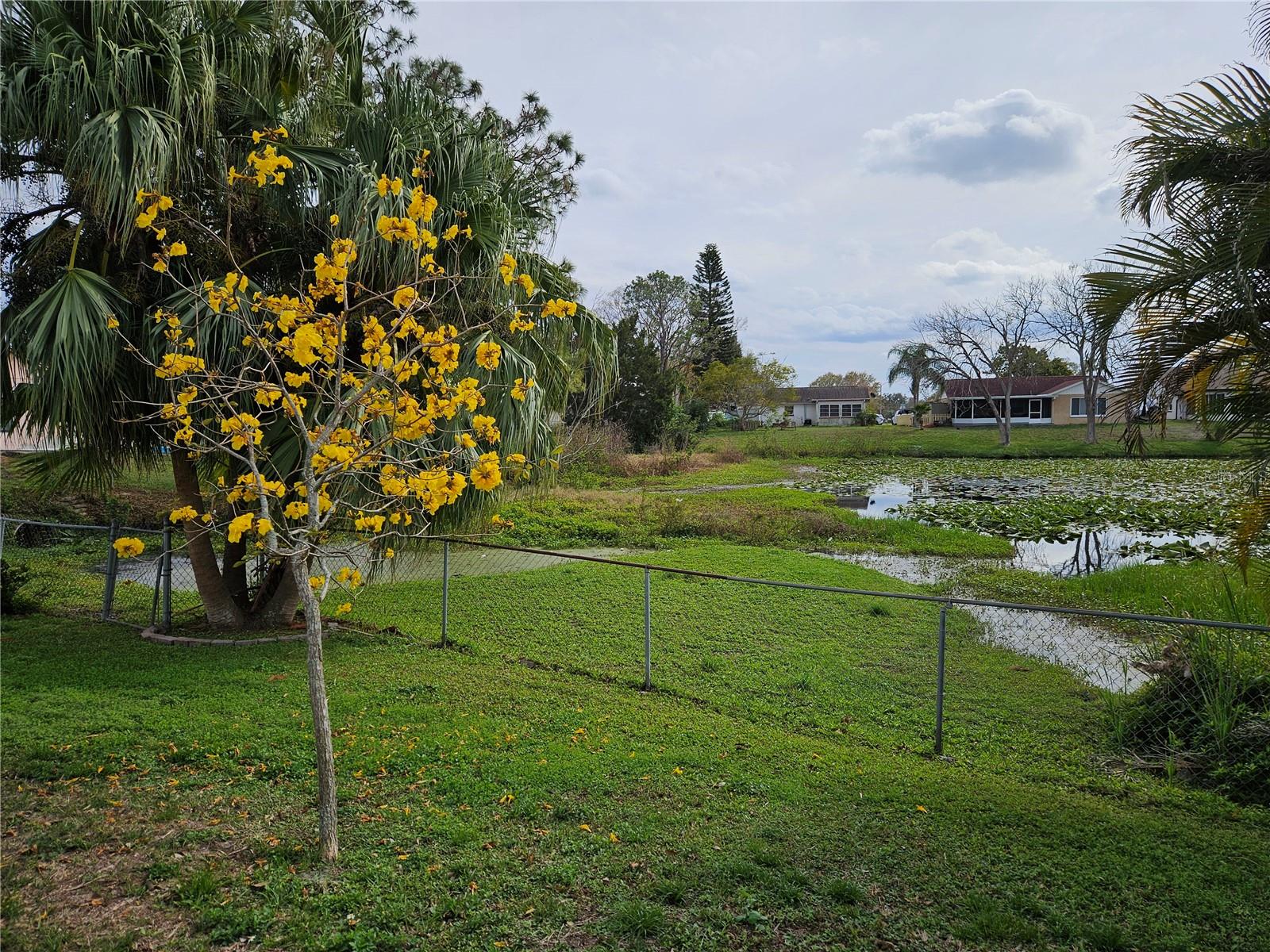 7730 ARLIGHT DR, NEW PORT RICHEY, FL, 34655
