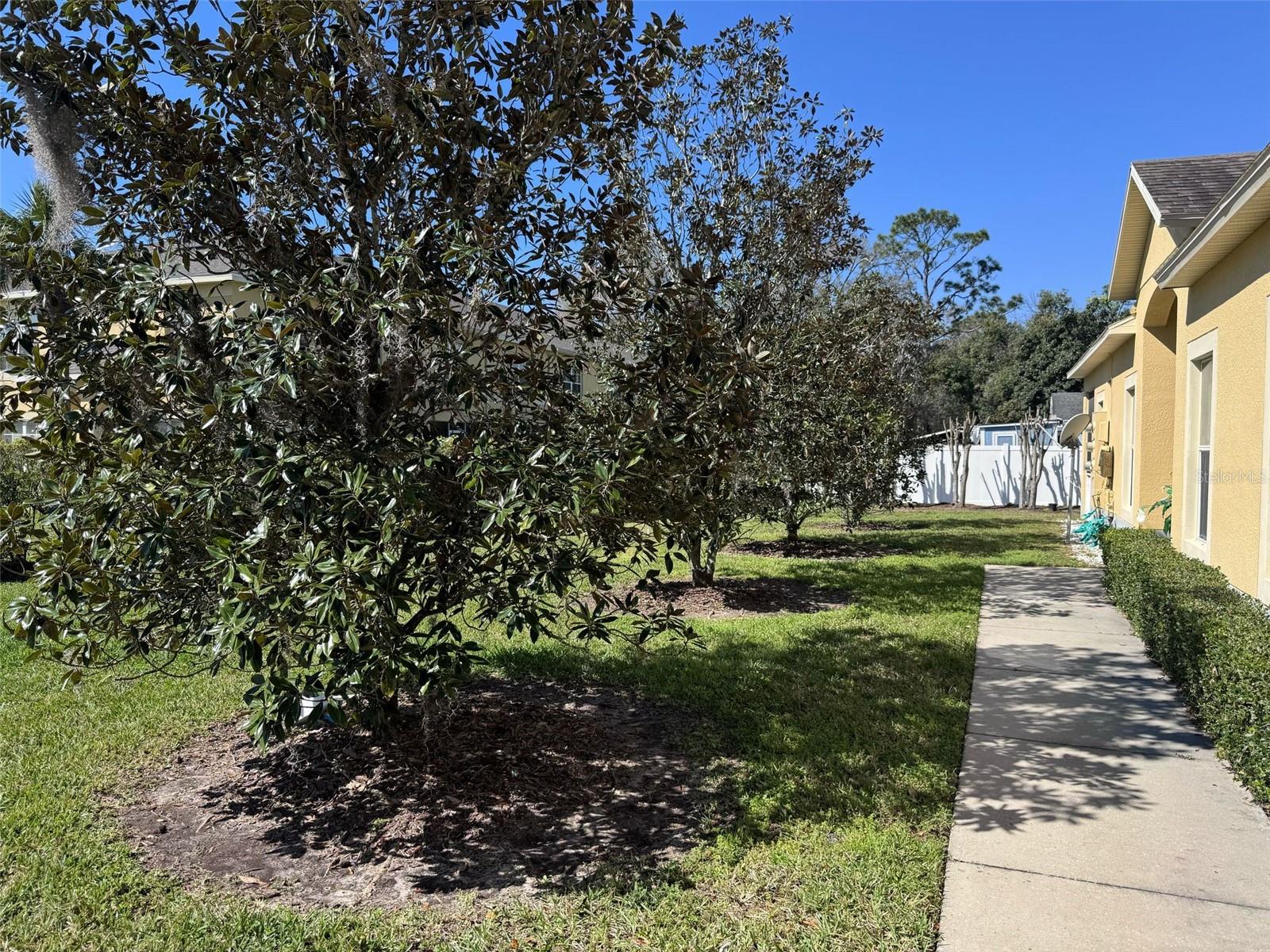 6359 TIMBERLY LN, ZEPHYRHILLS, FL, 33542
