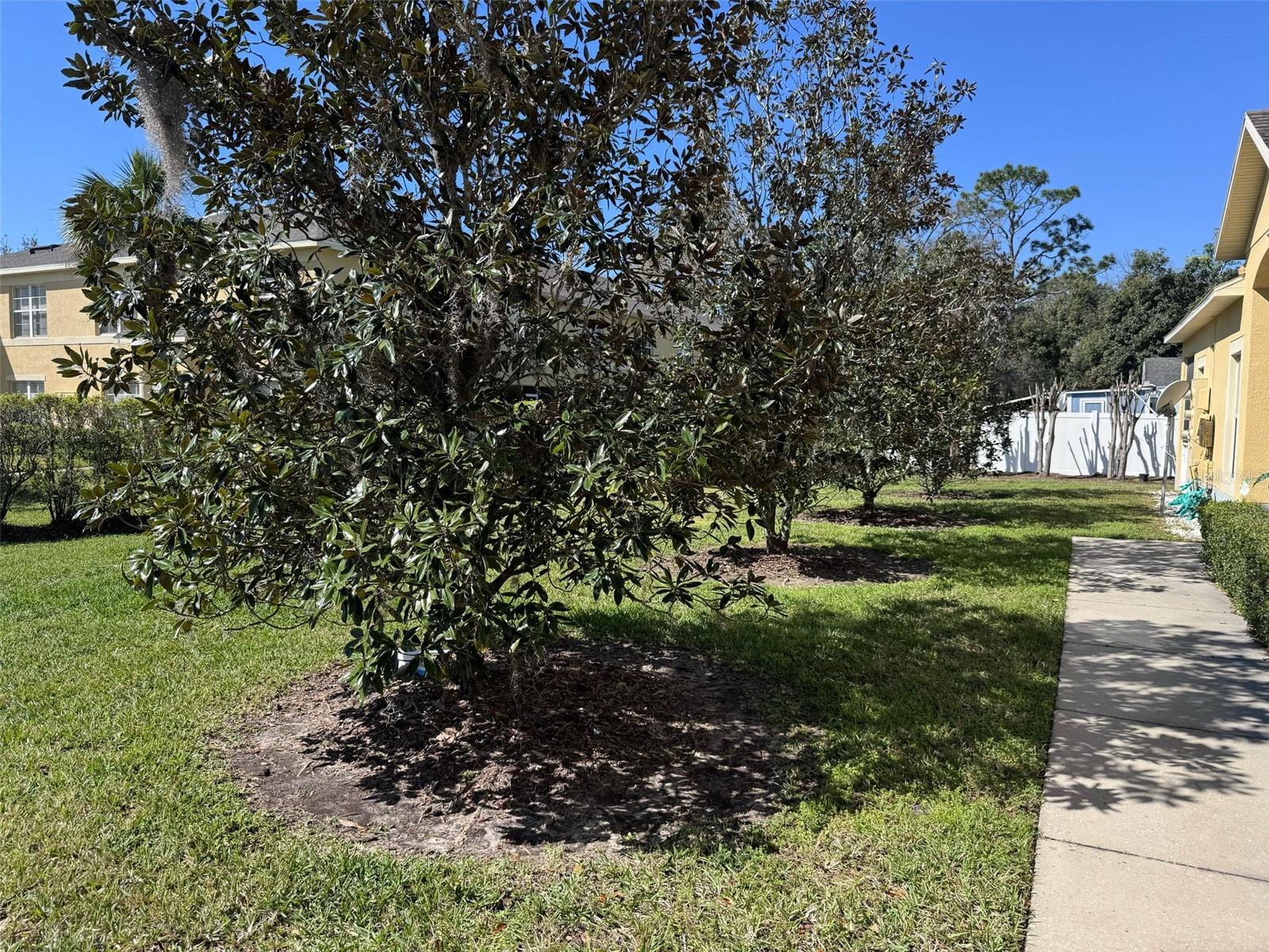 6359 TIMBERLY LN, ZEPHYRHILLS, FL, 33542